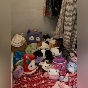 Mallory’s squishmallow collection